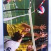 VB antenne stel 2 vb antenne stel volleybalnet antennes en houders a scaled